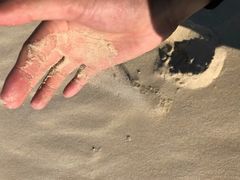 -黄金海岸
