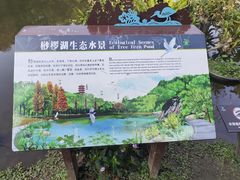-深圳仙湖植物园