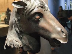 -广西壮族自治区博物馆