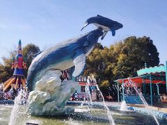 -海合安武汉极地海洋公园