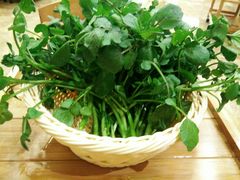 西洋菜-彩虹坊火锅(宁穿路店)