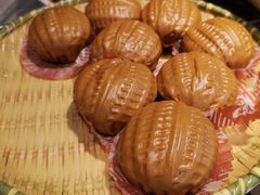 -新概念来凤鱼(璧山店)