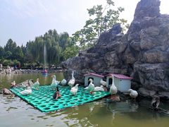 -团结湖公园