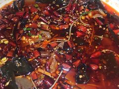 -雲蜀龙阁·金牌水煮鱼(方庄店)