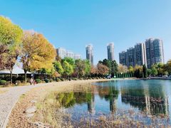 -泰丰公园