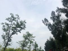 -漩门湾国家湿地公园