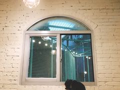 门面-有猫主题·治愈系猫咖(曾厝垵店)
