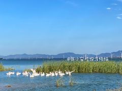 -怀来官厅水库