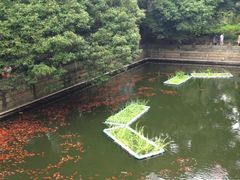 iphone_upload_pic-普陀山风景名胜区-法雨禅寺