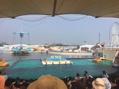 -秦皇岛乐岛海洋王国