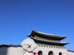 -景福宫
