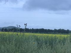 -塞罕坝国家级自然保护区