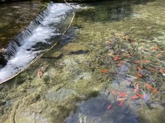 -水磨沟公园