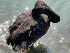 -江南大学(蠡湖校区)