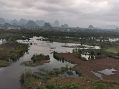-会仙湿地