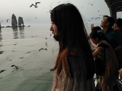 -长岛万鸟岛