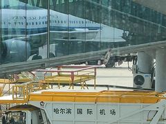 -哈尔滨太平国际机场-T2航站楼