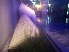 -上海外滩英迪格酒店