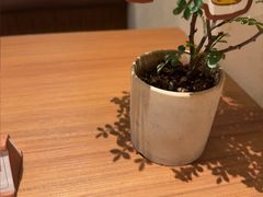 -CURRY YA 熟成咖哩專門店(深圳湾万象城店)