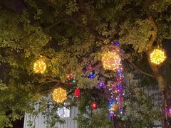 -翊宠yipet猫狗购宠庄园犬舍•猫舍