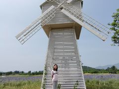 -北京东方普罗旺斯薰衣草庄园