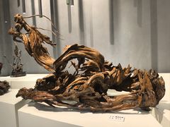 -吉林市博物馆