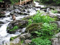 -凤凰山国家森林公园