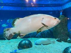 -成都浩海立方海洋公园