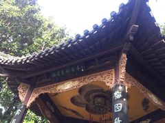 -梅园