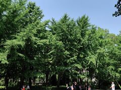 -玲珑塔公园