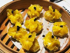 -点都德·毕德寮