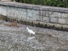 -洛阳市隋唐城遗址植物园