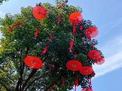 -武汉园博园(武汉自然博物馆)