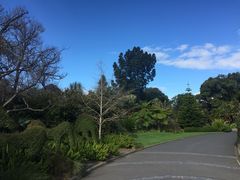 -墨尔本皇家植物园