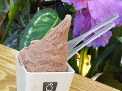 榛子巧克力冰淇淋-野人先生Gelato(上海长宁龙之梦店)