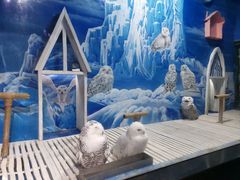 -成都浩海立方海洋公园