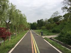 -宜兴龙背山森林公园