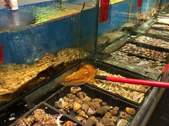 -黑石礁酒楼·海鲜(黑石礁店)
