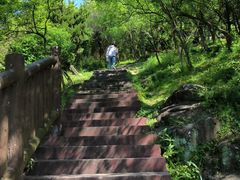-汤山公园