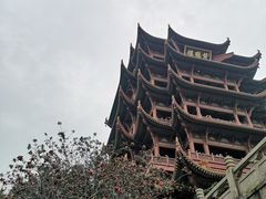 -黄鹤楼公园(黄鹤楼)