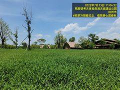 -良渚古城遗址公园