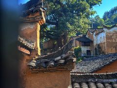 -杨家堂村