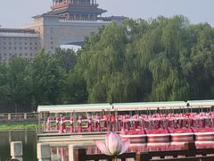 -莲花池公园