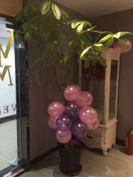 -唯伊美塑身美养连锁