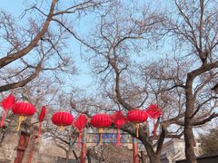 -北京国子监胡同
