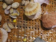 -小螺号海鲜·地道鲁菜(泉城广场店)