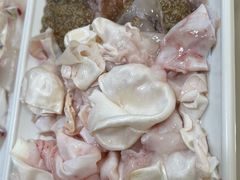 鱼籽鱼泡-中山脆肉鲩(新圳东路店)