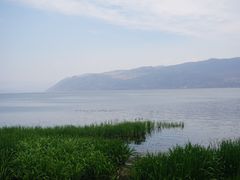 -才村湿地公园