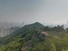 -浮山香苑