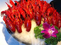 冰镇酒醉小龙虾-红盔甲·小龙虾(天钥桥店)